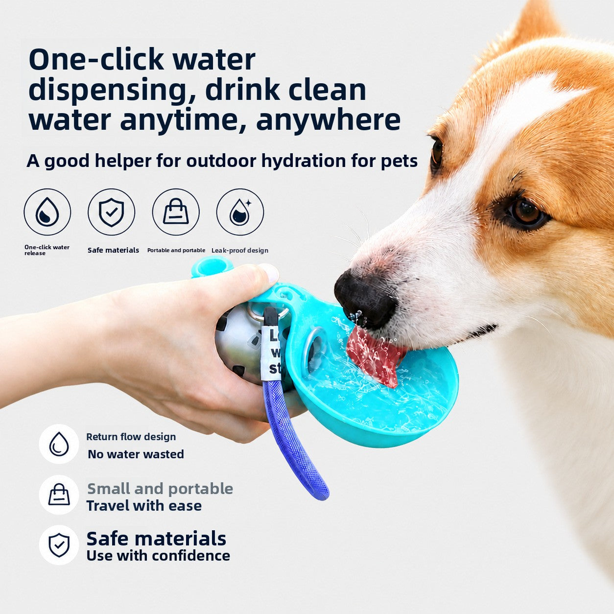 Pet water bottle
