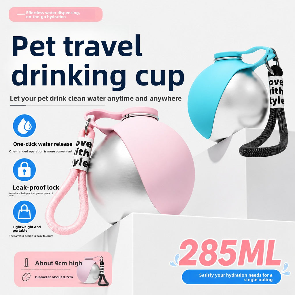 Pet water bottle